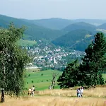 Ferienhaus Bergglück - Nähe Skilifte