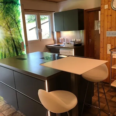 Bergglueck - Naehe Skilifte Holiday home