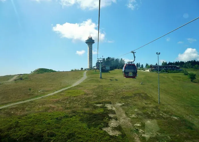 Bergglueck - Naehe Skilifte Tatil Evi Willingen (Upland)